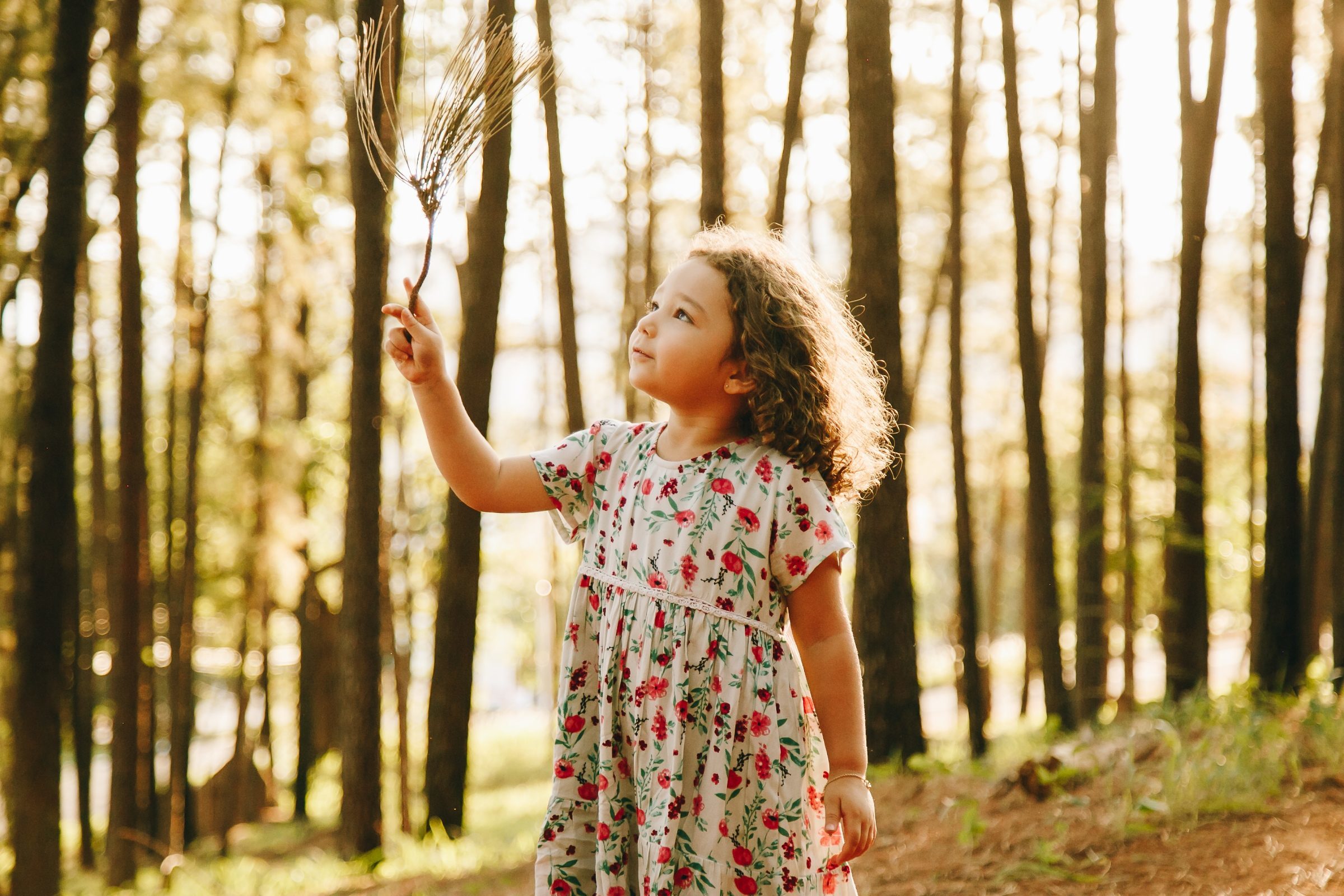Foto de Rafaela Malpeli Fotografia 0